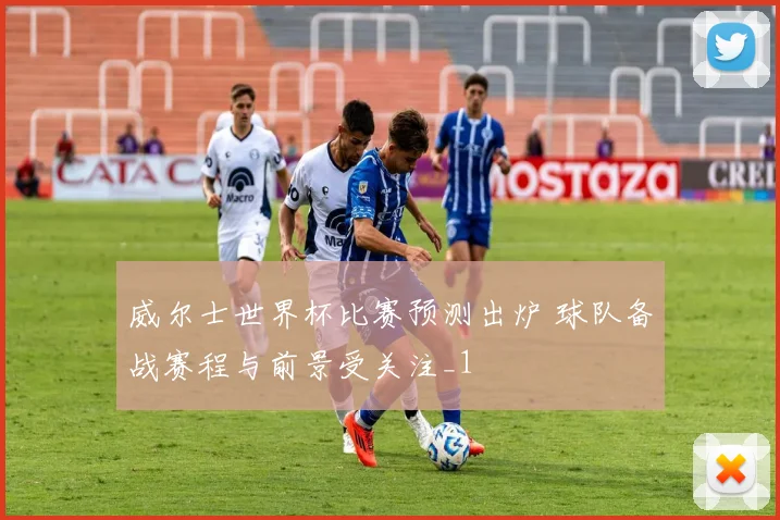 威尔士世界杯比赛预测出炉 球队备战赛程与前景受关注_1