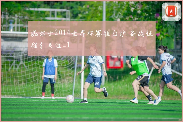 威尔士2014世界杯赛程出炉 备战征程引关注_1
