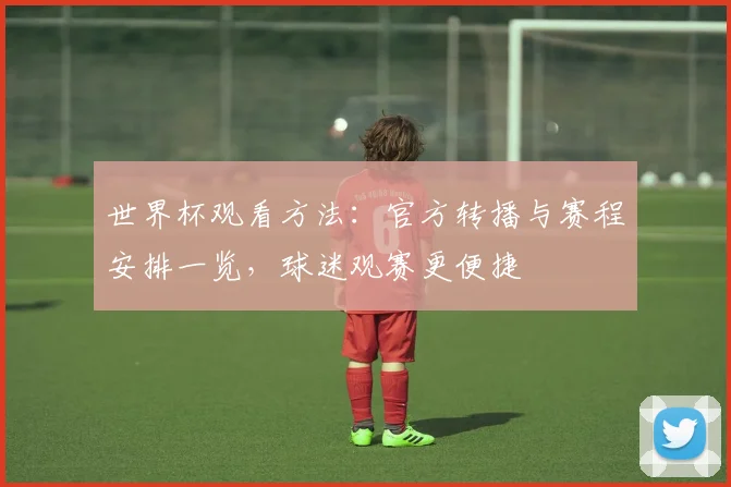 世界杯观看方法:官方转播与赛程安排一览,球迷观赛更便捷