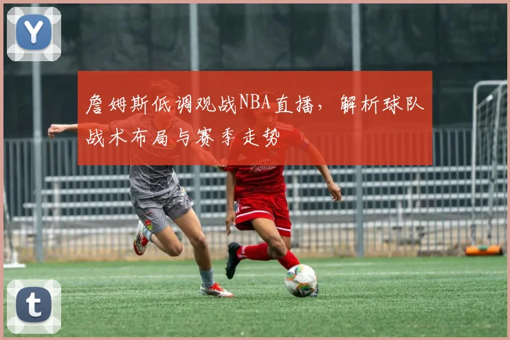 詹姆斯低调观战NBA直播，解析球队战术布局与赛季走势